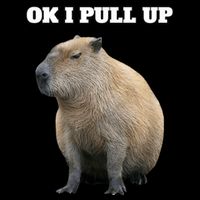 Ok I Pull Up Capybara Sustainable Bucket Hat