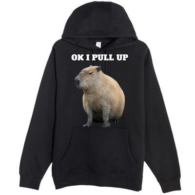 Ok I Pull Up Capybara Premium Pullover Hoodie