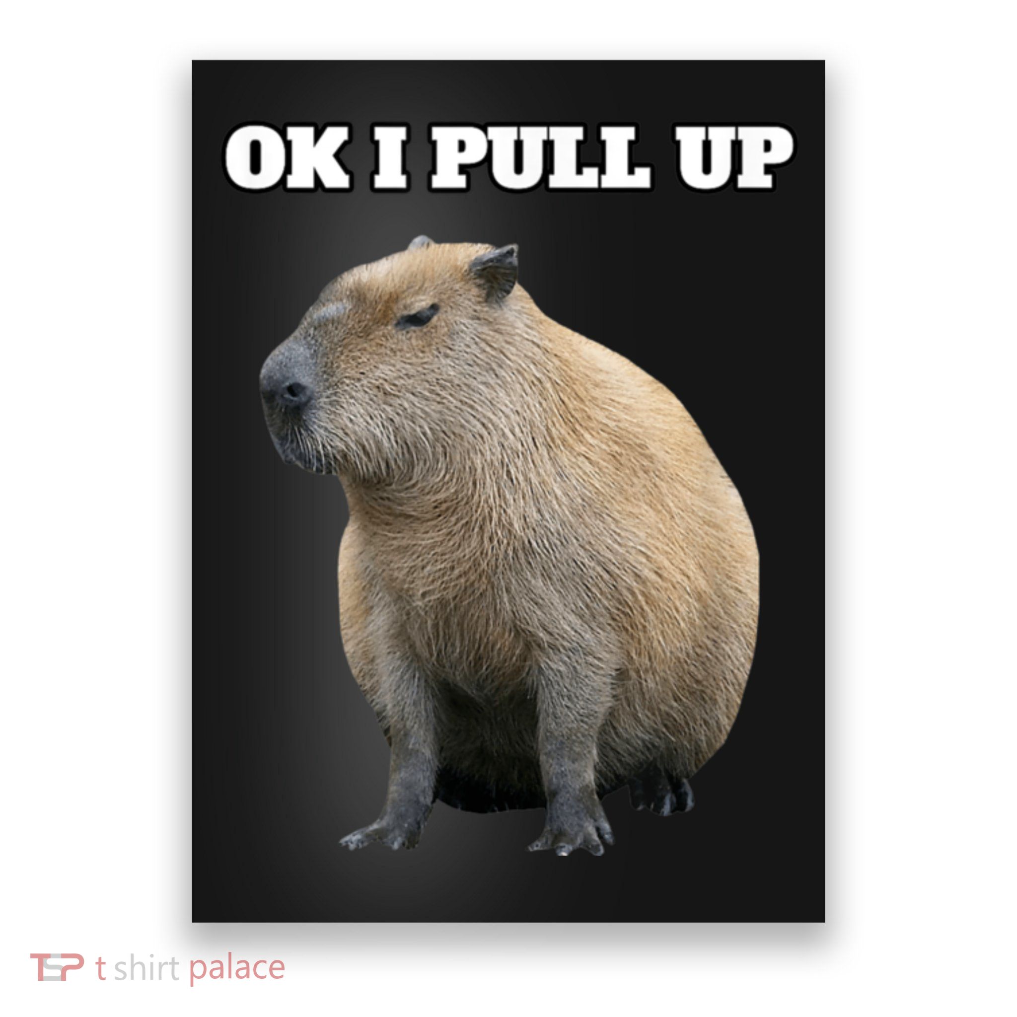 Ok I Pull Up Capybara Poster