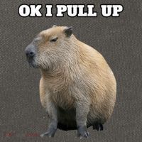 Ok I Pull Up Capybara Cotton Canvas Backpack