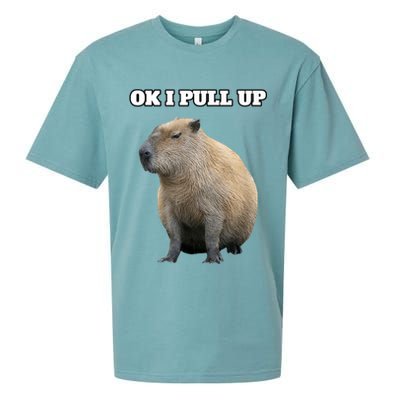 Ok I Pull Up Capybara Sueded Cloud Jersey T-Shirt