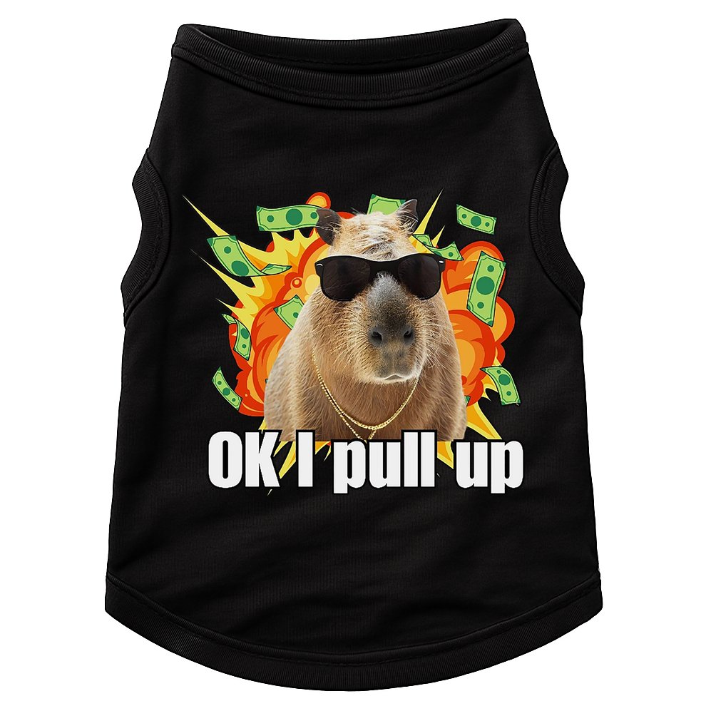 Ok I Pull Up Capybara Funny Meme Doggie Tank