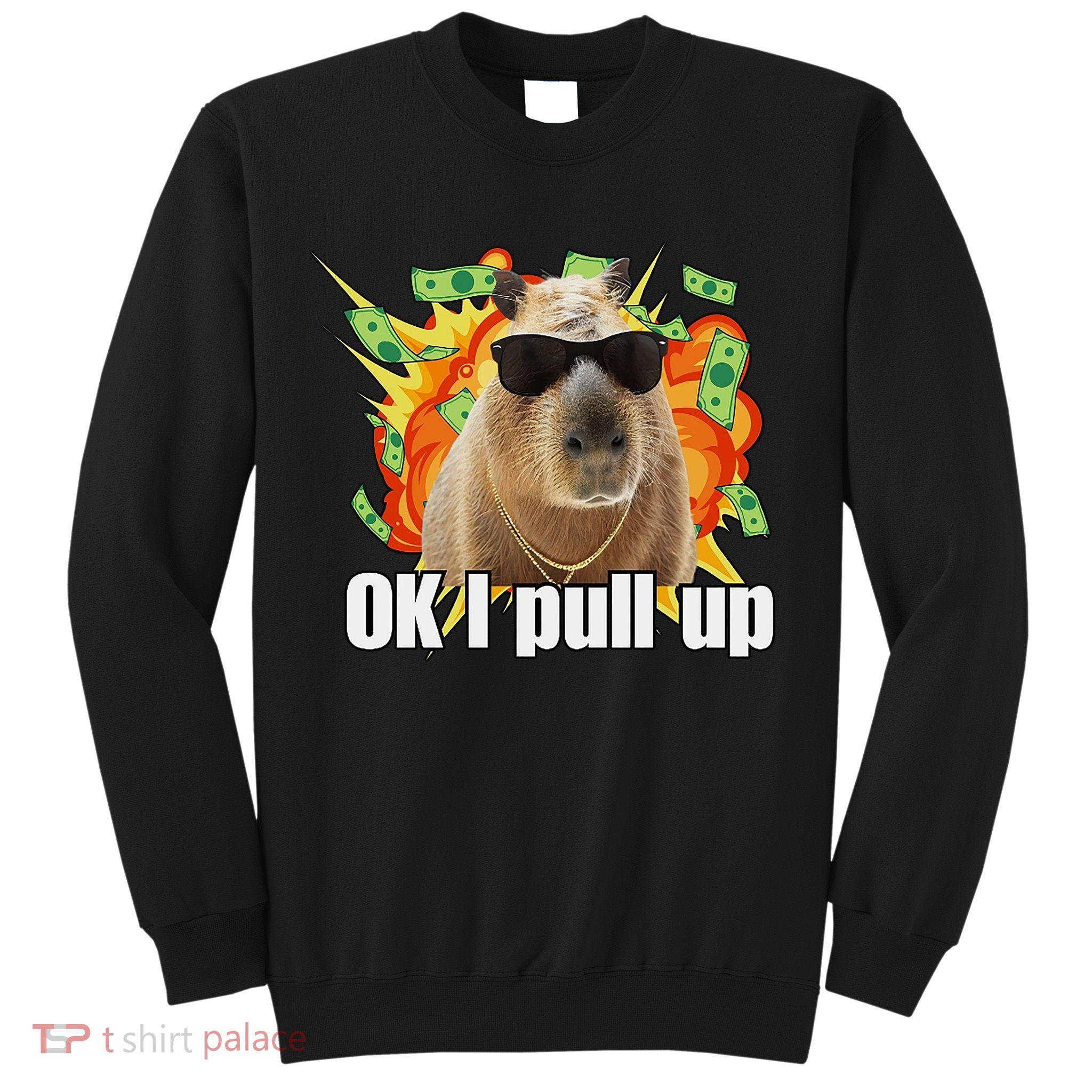 Ok I Pull Up Capybara Funny Meme Sweatshirt