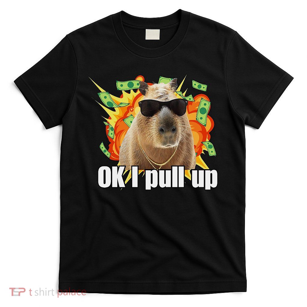 Ok I Pull Up Capybara Funny Meme T-Shirt