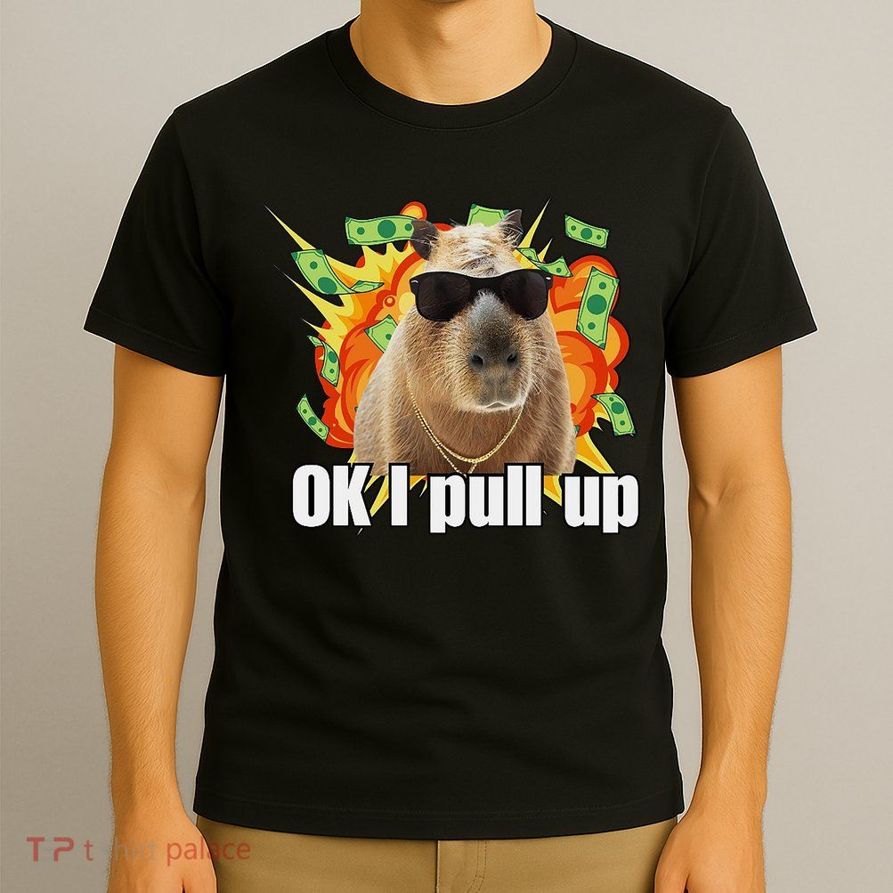 Ok I Pull Up Capybara Funny Meme T-Shirt