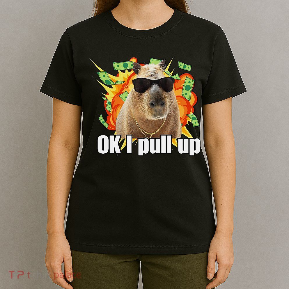 Ok I Pull Up Capybara Funny Meme T-Shirt