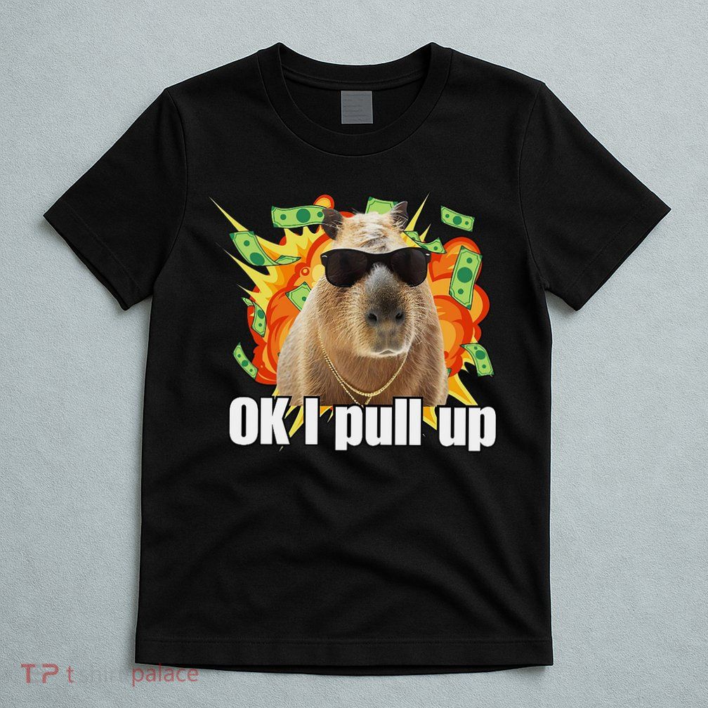 Ok I Pull Up Capybara Funny Meme T-Shirt