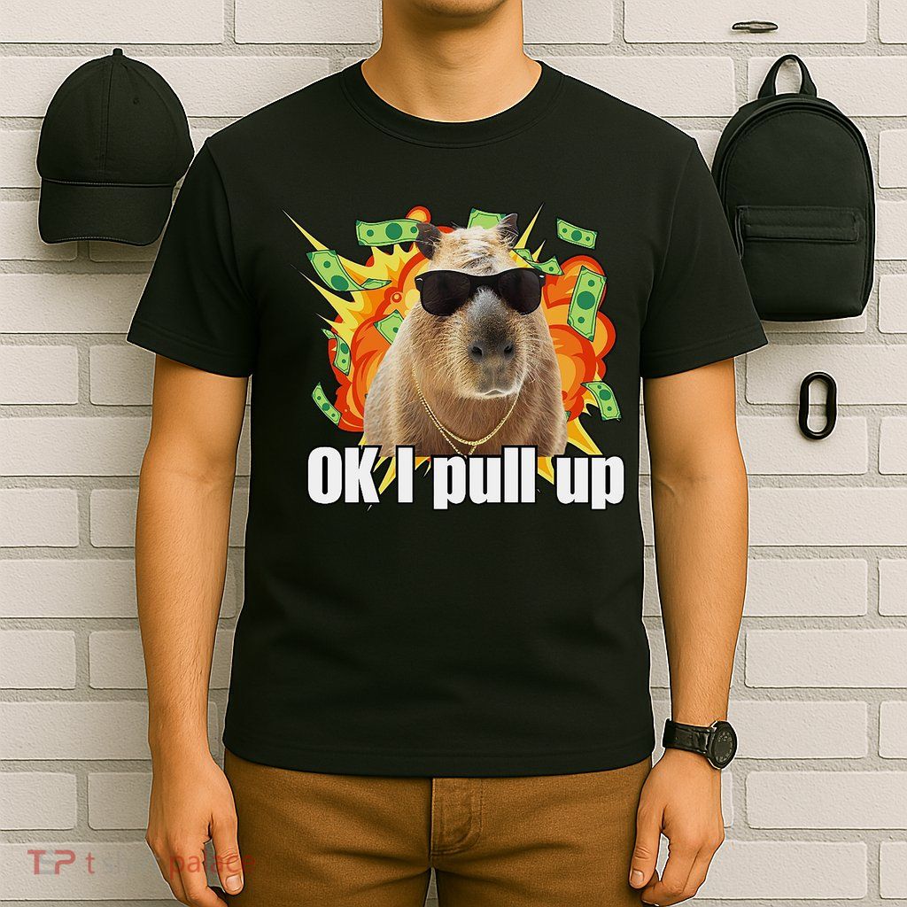 Ok I Pull Up Capybara Funny Meme T-Shirt