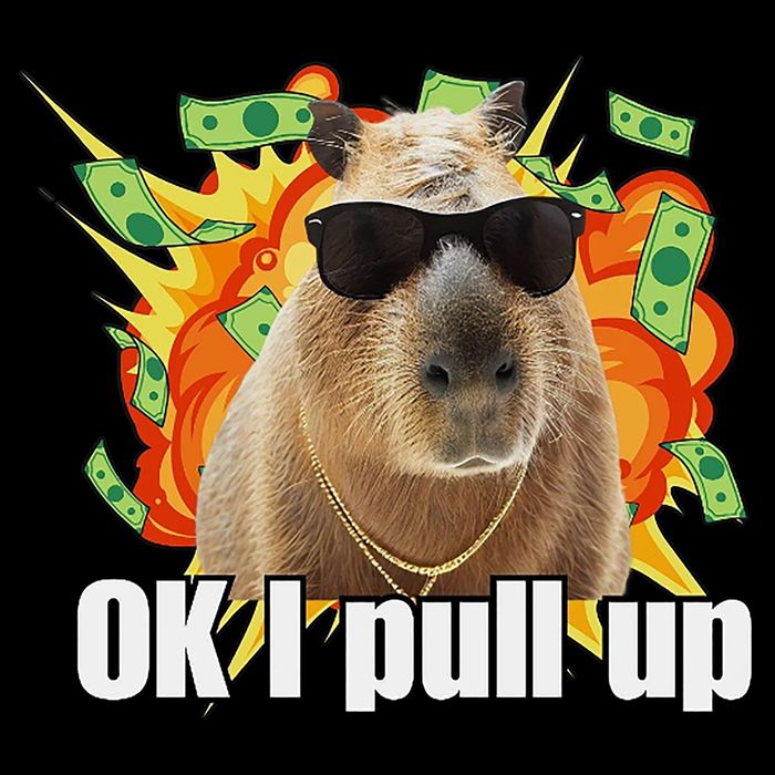 Ok I Pull Up Capybara Funny Meme Sustainable Bucket Hat