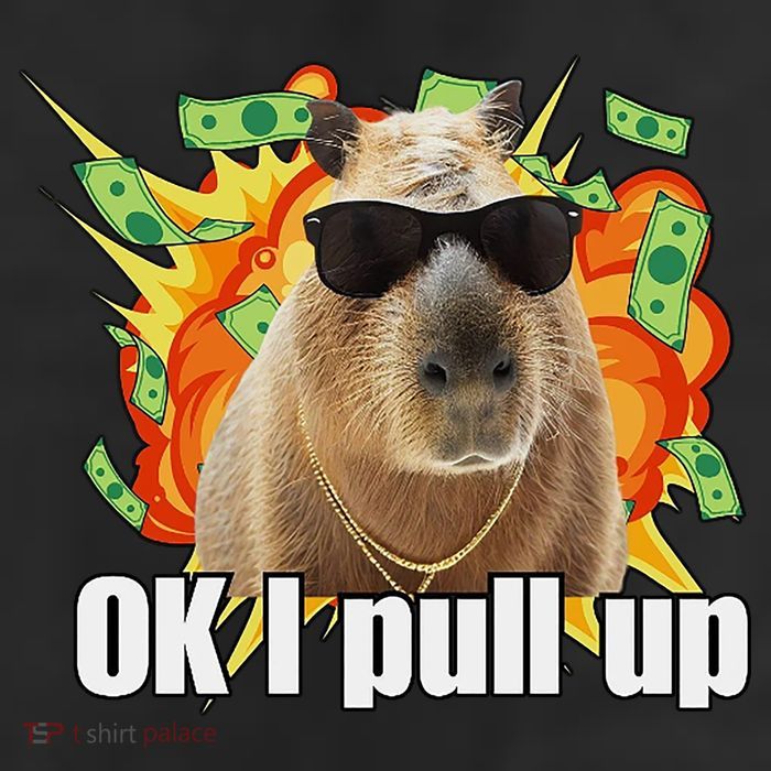 Ok I Pull Up Capybara Funny Meme 11oz C Handle Ceramic Mug