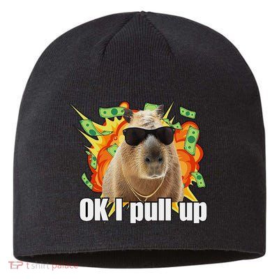 Ok I Pull Up Capybara Funny Meme Sustainable Beanie