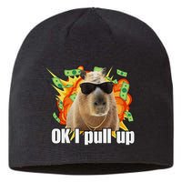 Ok I Pull Up Capybara Funny Meme Sustainable Beanie