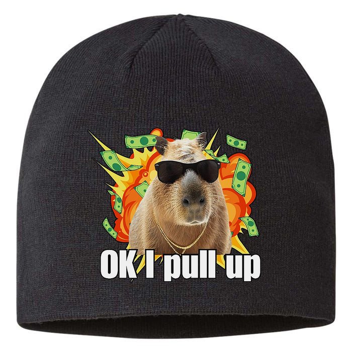 Ok I Pull Up Capybara Funny Meme Sustainable Beanie