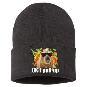 Ok I Pull Up Capybara Funny Meme Sustainable Knit Beanie