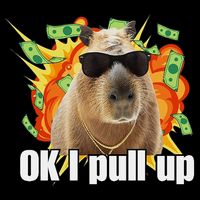 Ok I Pull Up Capybara Funny Meme Toddler T-Shirt