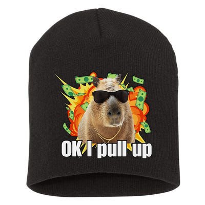 Ok I Pull Up Capybara Funny Meme Short Acrylic Beanie