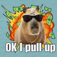 Ok I Pull Up Capybara Funny Meme Sueded Cloud Jersey T-Shirt