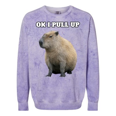 Ok I Pull Up Capybara Gift Funny Capybara Meme Ok I Pull Up Colorblast Crewneck Sweatshirt