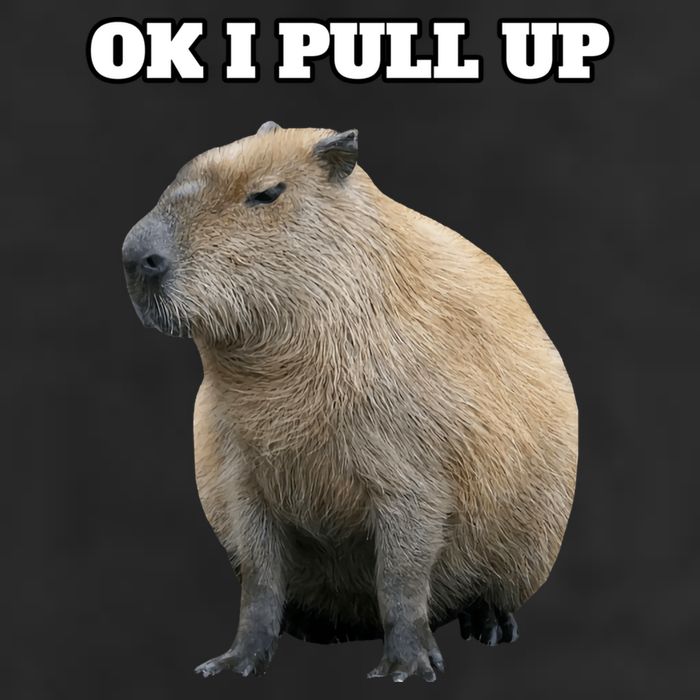 Ok I Pull Up Capybara Gift Funny Capybara Meme Ok I Pull Up 7 Panel Mesh Trucker Snapback Hat