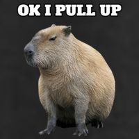 Ok I Pull Up Capybara Gift Funny Capybara Meme Ok I Pull Up 25L Jumbo Tote