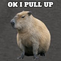 Ok I Pull Up Capybara Gift Funny Capybara Meme Ok I Pull Up Vector Backpack