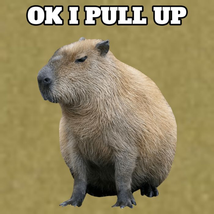 Ok I Pull Up Capybara Gift Funny Capybara Meme Ok I Pull Up Garment-Dyed Women's Muscle Tee