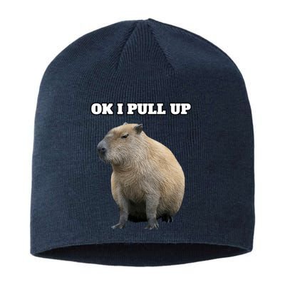 Ok I Pull Up Capybara Gift Funny Capybara Meme Ok I Pull Up Sustainable Beanie