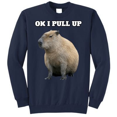 Ok I Pull Up Capybara Gift Funny Capybara Meme Ok I Pull Up Tall Sweatshirt