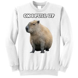 Ok I Pull Up Capybara Gift Funny Capybara Meme Ok I Pull Up Sweatshirt