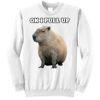 Ok I Pull Up Capybara Gift Funny Capybara Meme Ok I Pull Up Sweatshirt