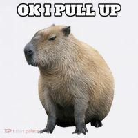 Ok I Pull Up Capybara Gift Funny Capybara Meme Ok I Pull Up T-Shirt