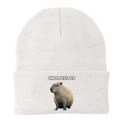 Ok I Pull Up Capybara Gift Funny Capybara Meme Ok I Pull Up Knit Cap Winter Beanie