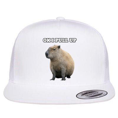 Ok I Pull Up Capybara Gift Funny Capybara Meme Ok I Pull Up Flat Bill Trucker Hat