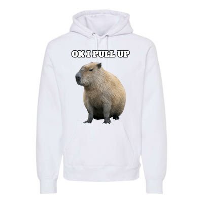 Ok I Pull Up Capybara Gift Funny Capybara Meme Ok I Pull Up Premium Hoodie