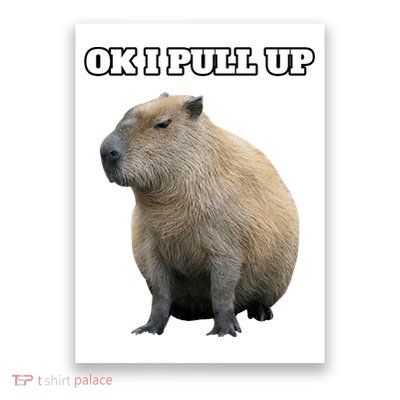 Ok I Pull Up Capybara Gift Funny Capybara Meme Ok I Pull Up Poster