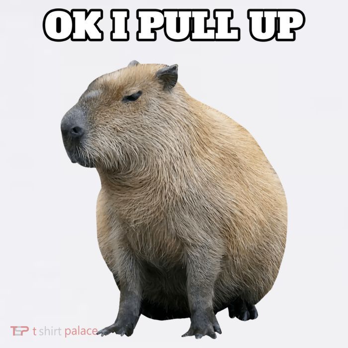 Ok I Pull Up Capybara Gift Funny Capybara Meme Ok I Pull Up Toddler T-Shirt