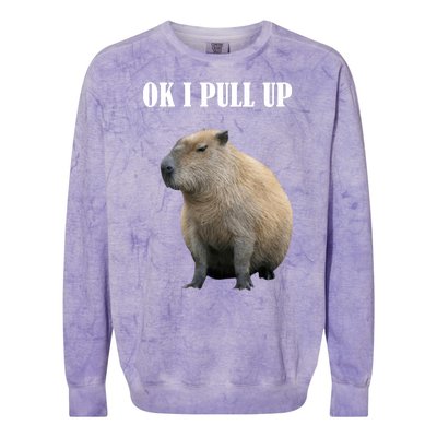 Ok I Pull Up Capybara Funny Colorblast Crewneck Sweatshirt