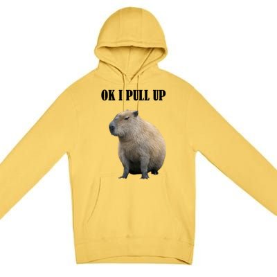 Ok I Pull Up Capybara Funny Premium Pullover Hoodie