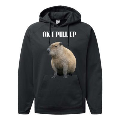 Ok I Pull Up Capybara Funny Performance Fleece Hoodie