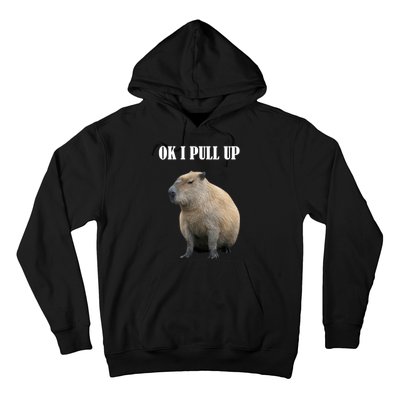 Ok I Pull Up Capybara Funny Hoodie