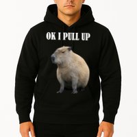 Ok I Pull Up Capybara Funny Hoodie