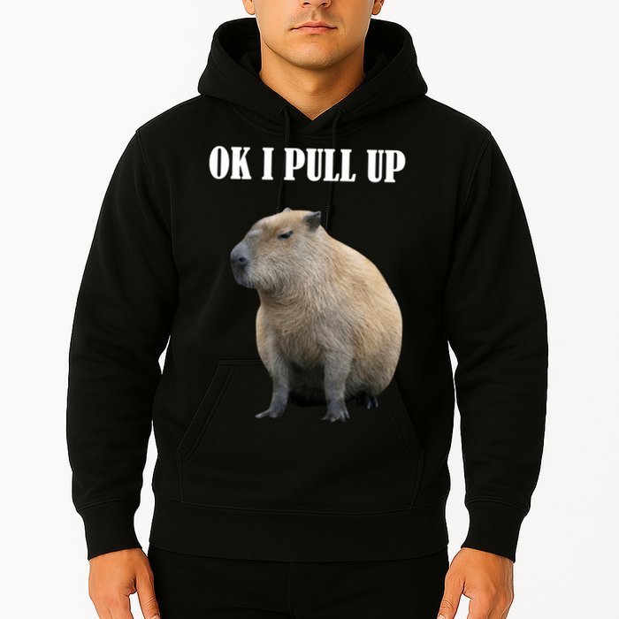 Ok I Pull Up Capybara Funny Hoodie