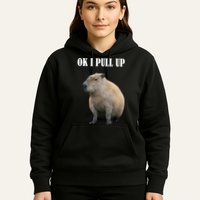 Ok I Pull Up Capybara Funny Hoodie