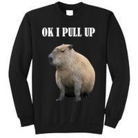 Ok I Pull Up Capybara Funny Sweatshirt