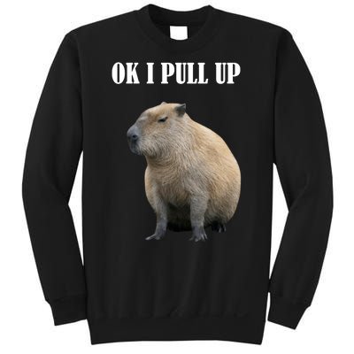 Ok I Pull Up Capybara Funny Sweatshirt