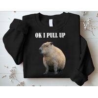 Ok I Pull Up Capybara Funny Sweatshirt