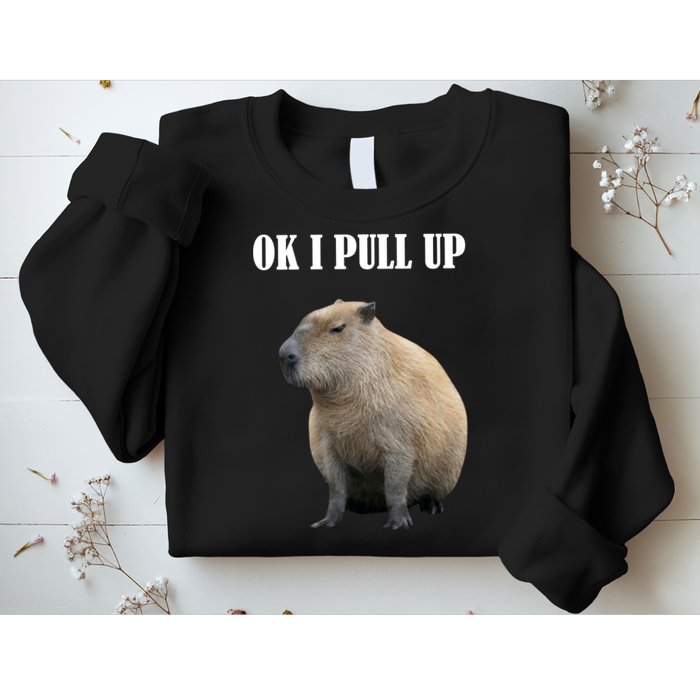 Ok I Pull Up Capybara Funny Sweatshirt