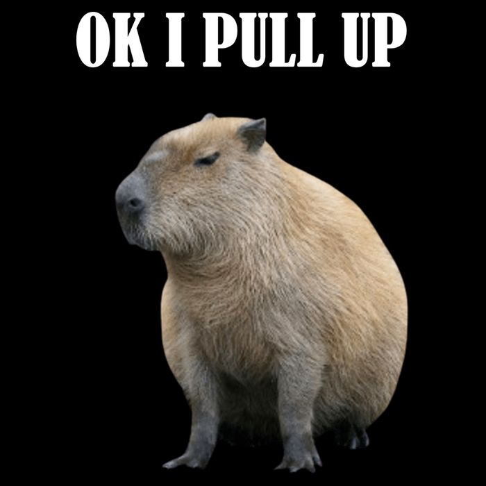 Ok I Pull Up Capybara Funny Sweatshirt