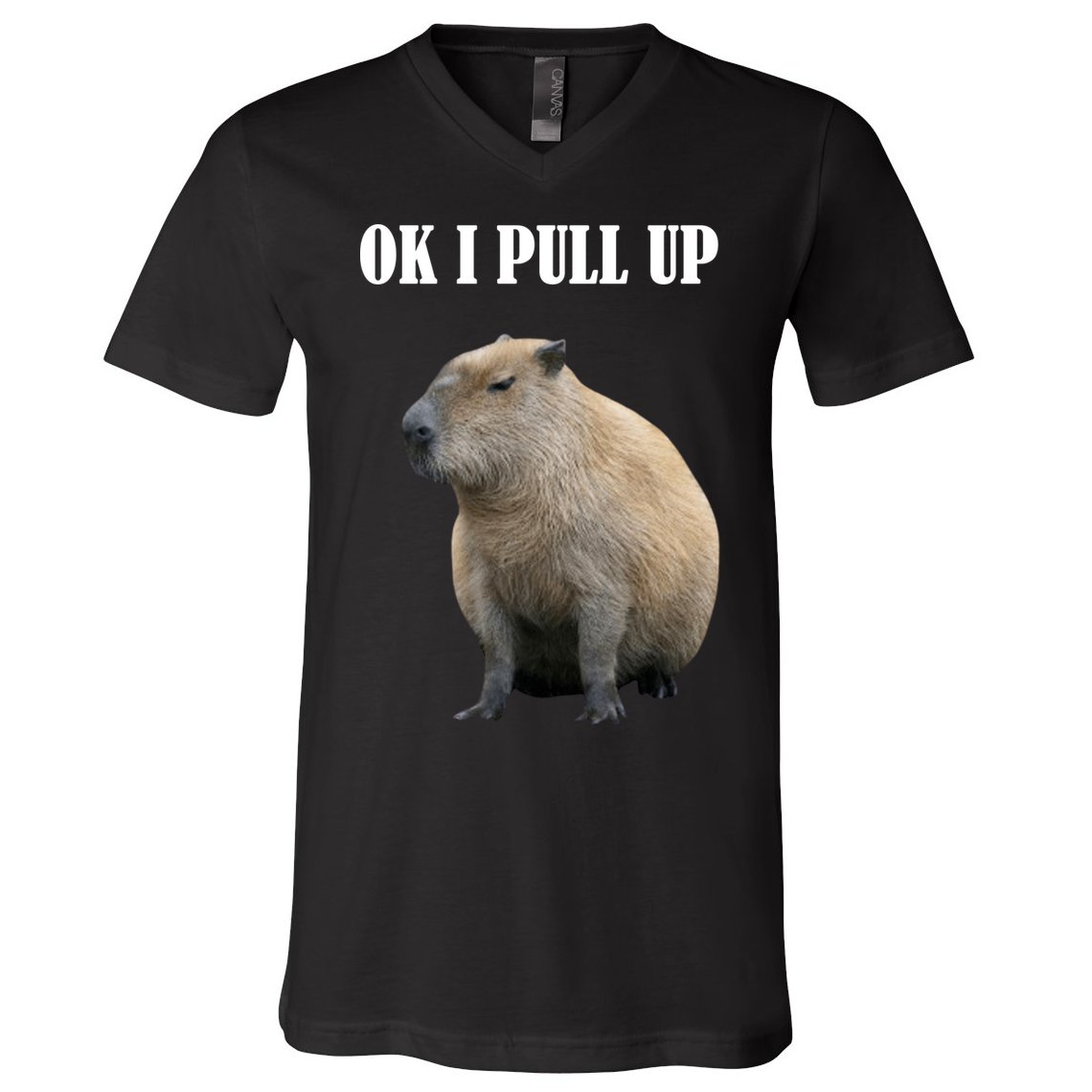 Ok I Pull Up Capybara Funny V-Neck T-Shirt