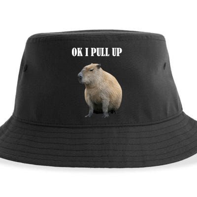 Ok I Pull Up Capybara Funny Sustainable Bucket Hat
